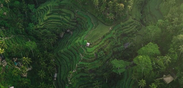 Ubud