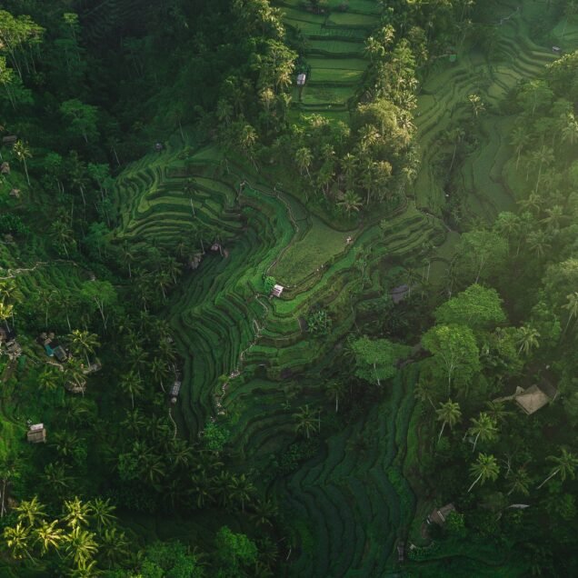 Ubud